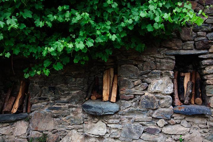 Can Coderch Hotel Ribes De Freser Bagian luar foto